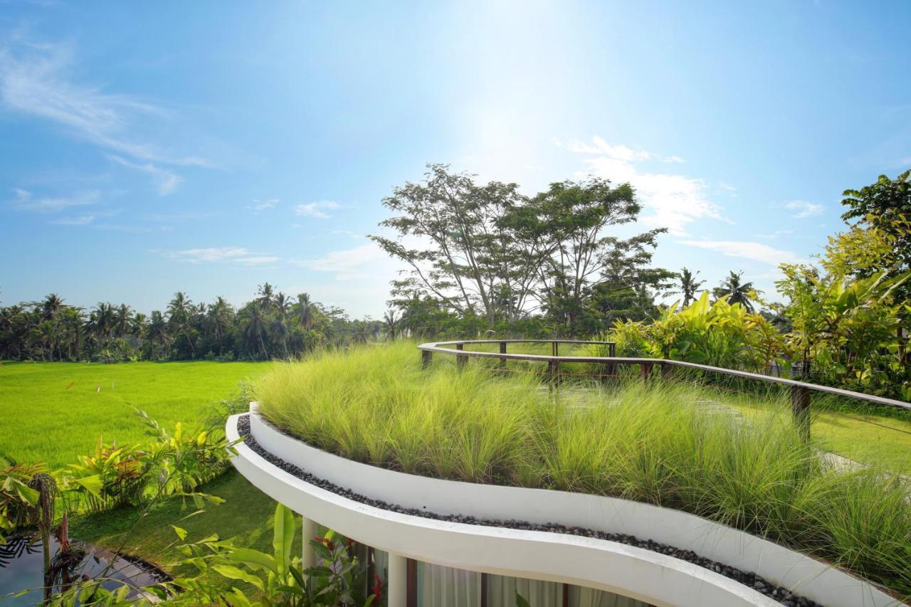 Mango Ubud エクステリア 写真